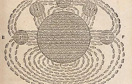 Магнитное поле черной дыры