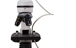 Плесень хлеба под микроскопом