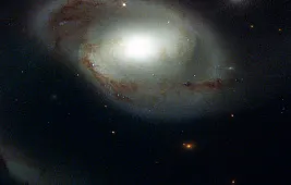 Горизонт событий черных дыр