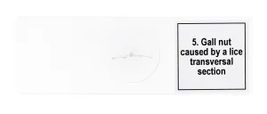 Набор микропрепаратов Levenhuk Discovery Prof DPS 5. «Мутации», изображение 8