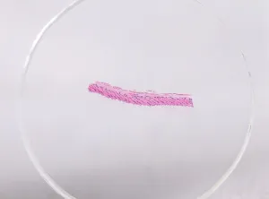 Набор микропрепаратов Konus 10: «Биология» (часть 2), изображение 6