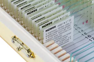 Набор микропрепаратов Konus 15: «Размножение беспозвоночных», изображение 3