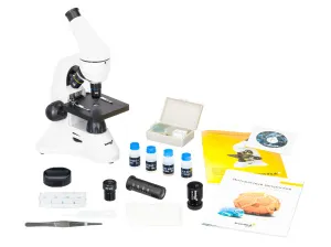 Микроскоп Levenhuk Rainbow D50L PLUS, 2 Мпикс, Moonstone\Лунный камень, изображение 3