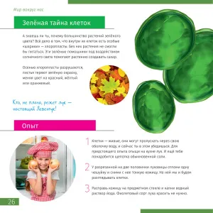 Микроскоп Levenhuk Discovery Nano Terra с книгой, изображение 7