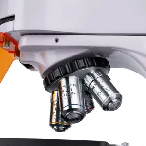 Микроскоп люминесцентный цифровой MAGUS Lum D400L, изображение 13