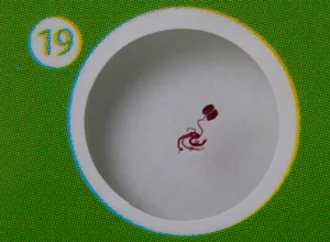 Набор микропрепаратов Levenhuk LabZZ CP24, существа и растения, изображение 10