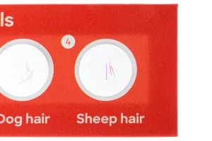 Набор микропрепаратов Levenhuk Discovery «Флора и фауна», 24 шт., изображение 4