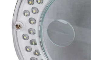 Лупа настольная Bresser 2x/4x, 100 мм, с подсветкой, изображение 6