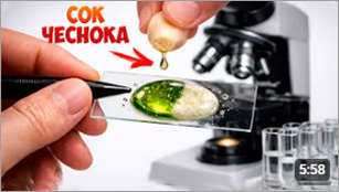 Сок чеснока vs микробы